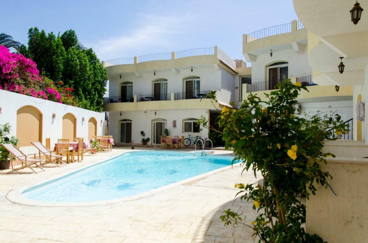 New Yalla Hotel Dahab Exterior foto